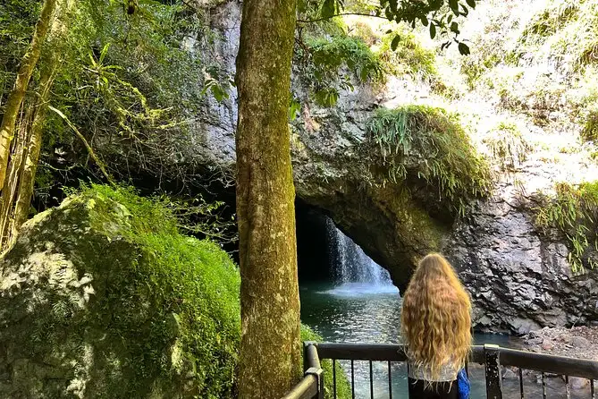 Natural Bridge & Springbrook Waterfalls Tour