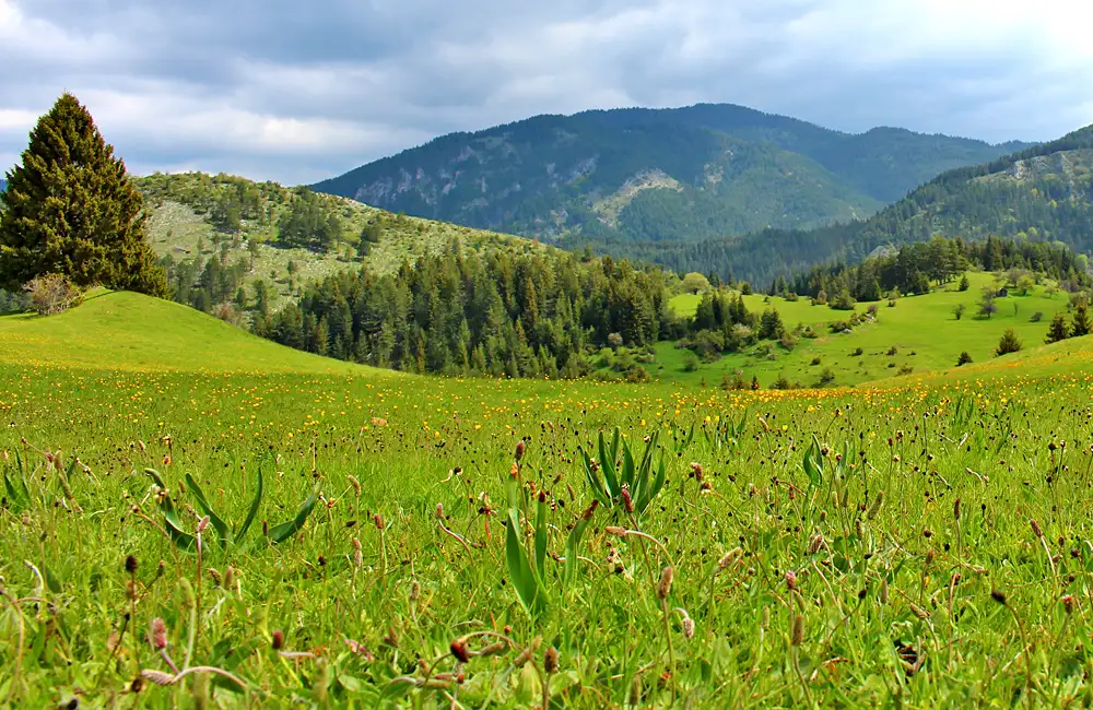 5-Day Hiking Tour Of Rhodope Mountains Bulgaria