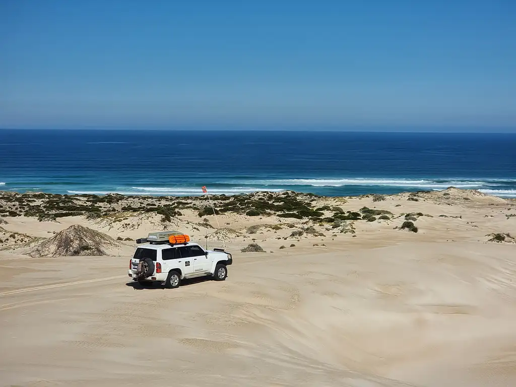 Coffin Bay Oysters & Sightseeing 4WD Tour