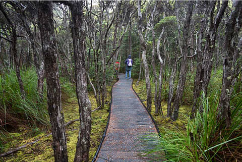 5 day Bay of Fires walking tour