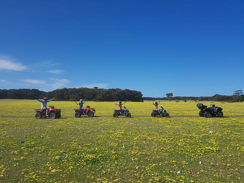 Kangaroo Island Quad Bike Adventure