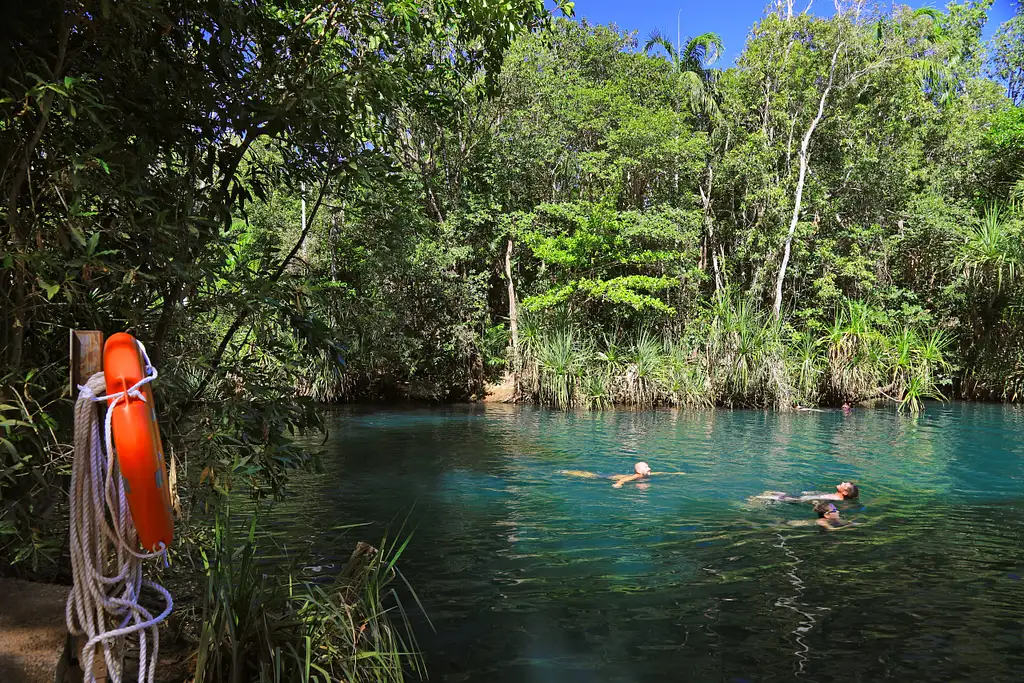 Aboriginal Art Workshop & Berry Springs Nature Park, Explore & Swim