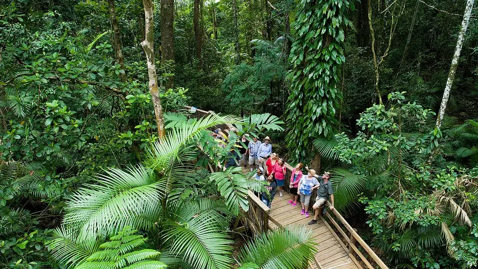 Daintree Rainforest & Great Barrier Reef 2 Day Package **SAVE $49pp**