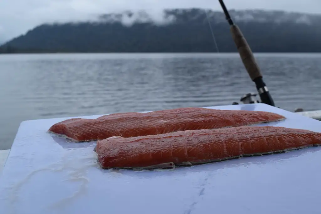 Franz Josef Fishing Charter