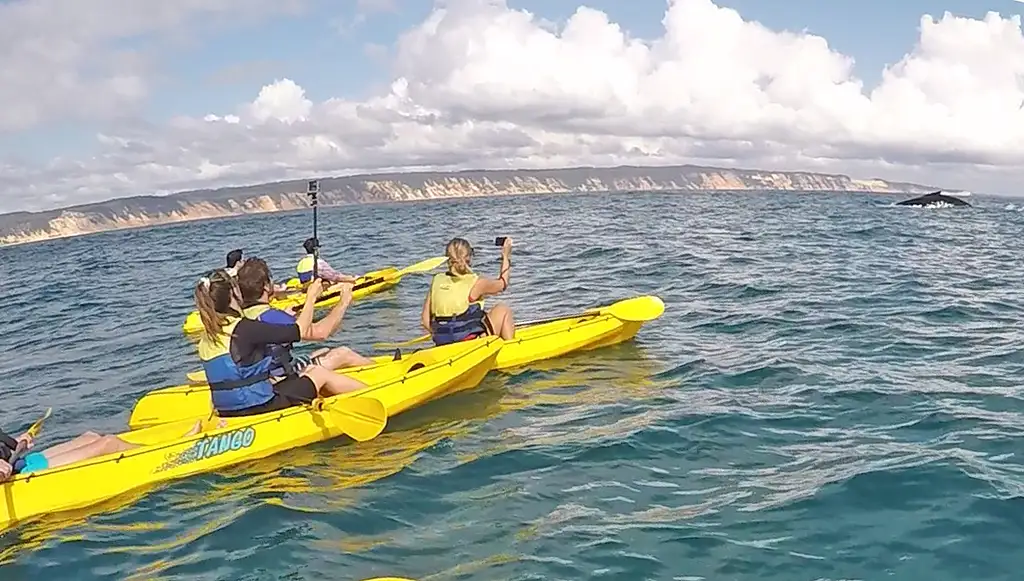 Whale Watching Ocean Kayaking & Beach 4X4 Tour | Noosa