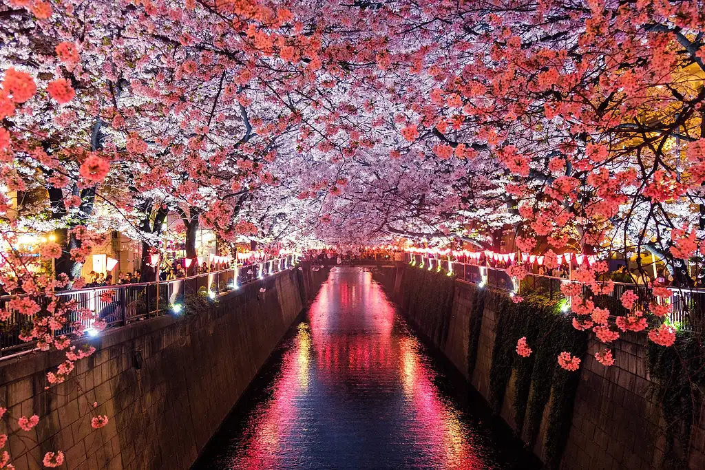 12 Day Legend of Japan Group Tour | TruTravels