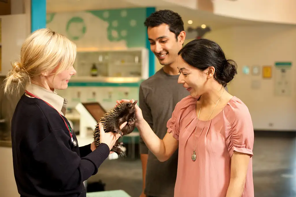 Healesville Wildlife Sanctuary Tour