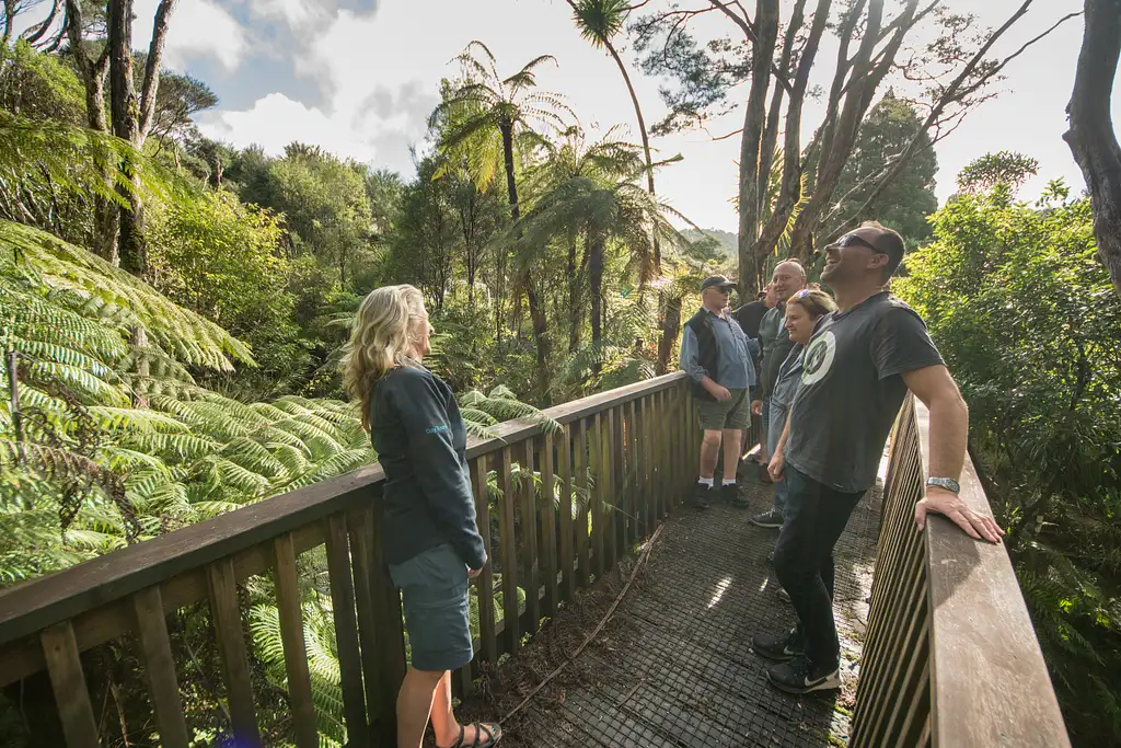 Wilderness Experience Nature Tour