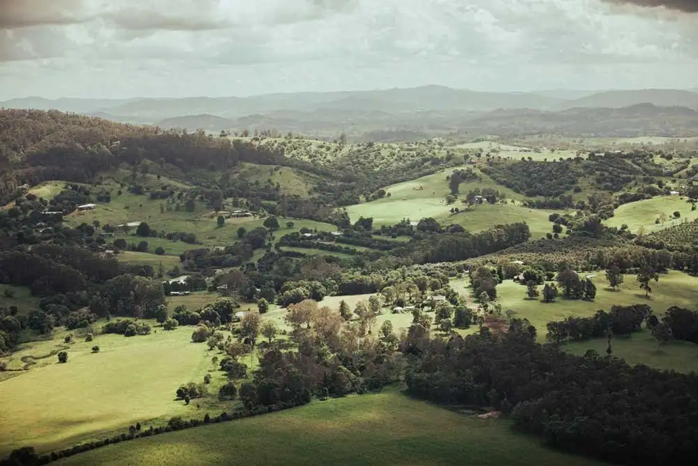 Dingo Creek Vineyard Picnic Helicopter Tour