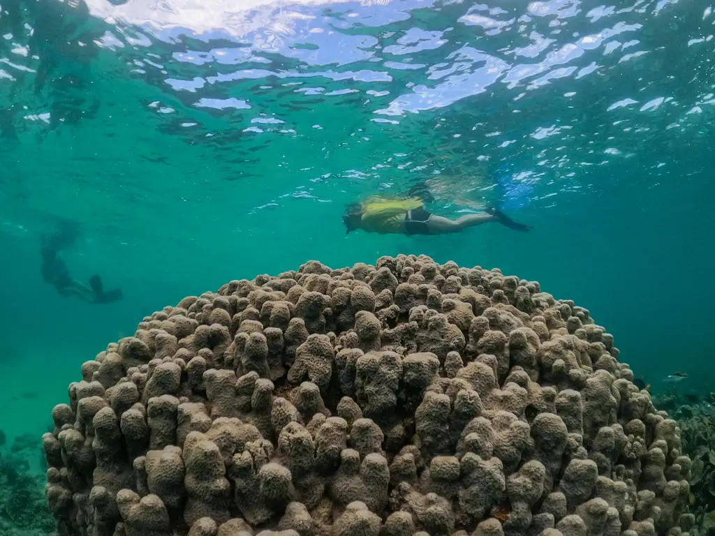 Coral By Kayak | Exmouth
