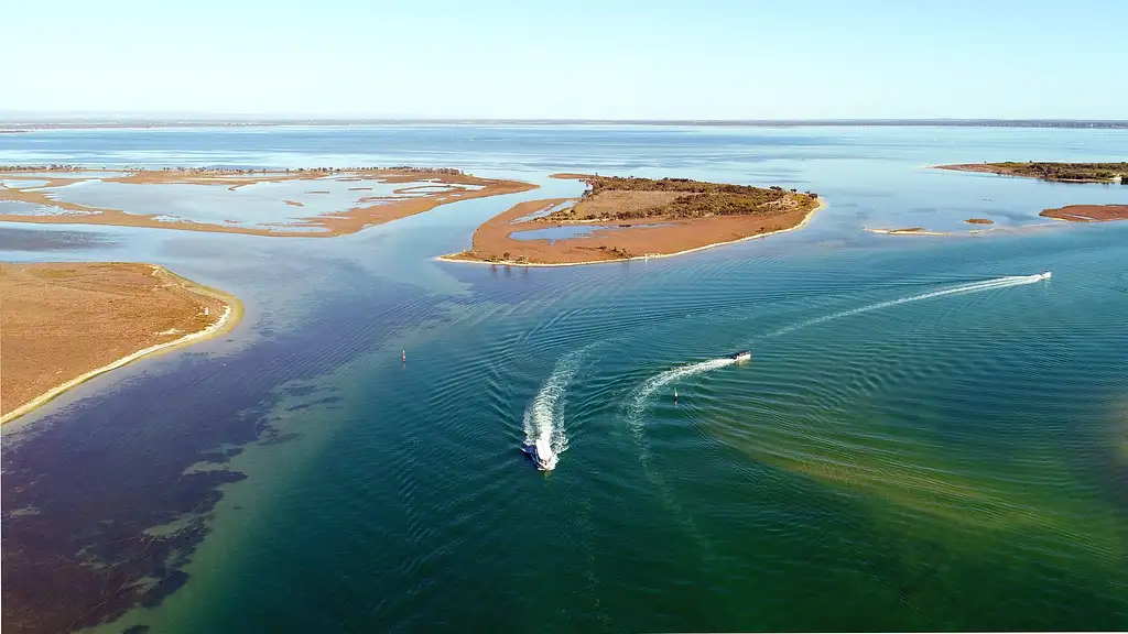Dolphine Cruise from Mandurah