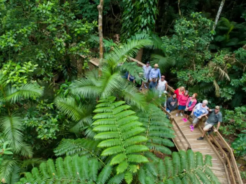 1 Day Daintree and Cape Tribulation Tour