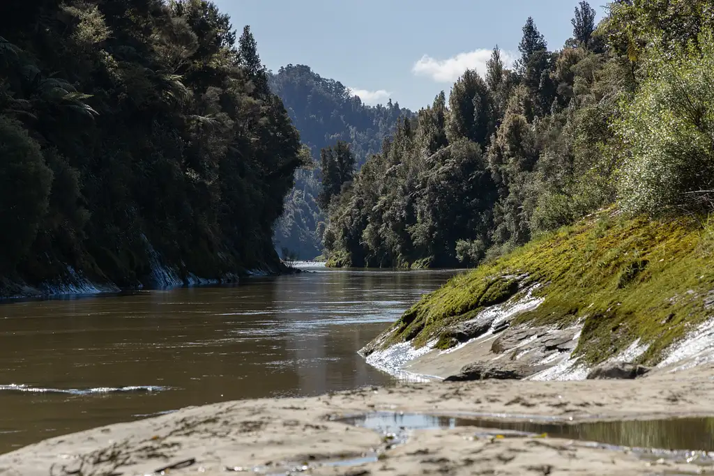 3-Day Whanganui River Freedom Paddle with Free Accommodation the Night Prior