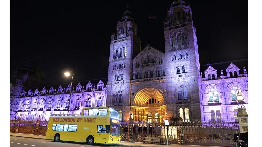 See London by Night Tour