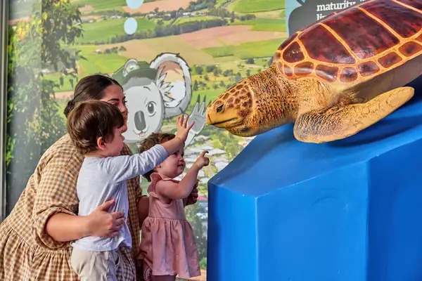 Cairns Koalas & Creatures | with Optional Koala Photo Experience