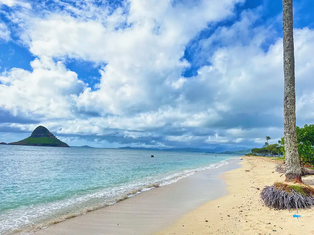 Diamond Head Hiking and Oahu Island Experience feat. North Shore