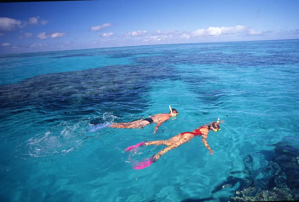 3 Day, 2 Night OceanQuest Liveaboard Experience | Great Barrier Reef