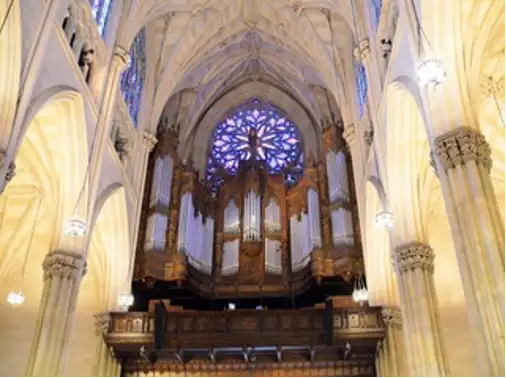 St Patrick's Cathedral Official Tour
