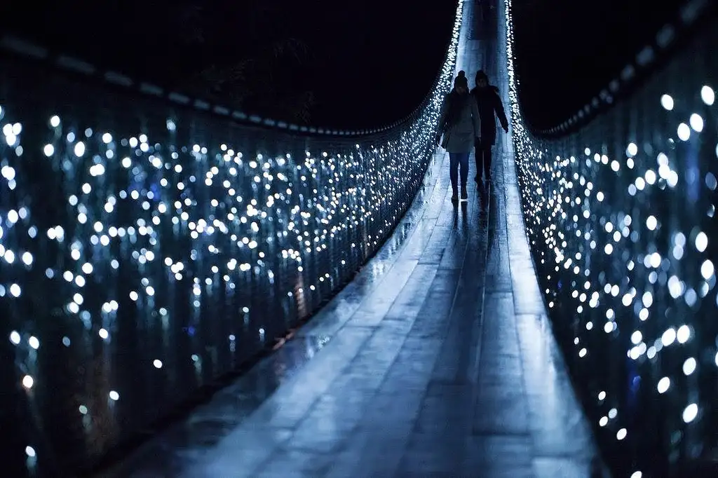 Vancouver and Capilano Canyon Lights Christmas Guided Tour