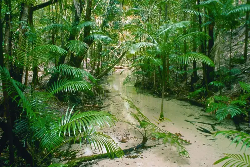 Dreamtime Fraser Island Camping 3 Days 2 Nights