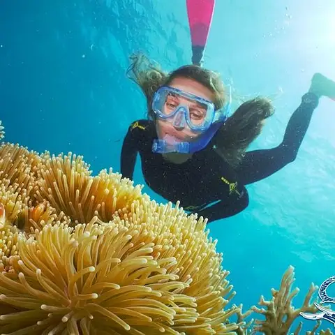 SCUBA Diving Great Barrier Reef