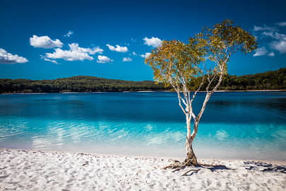 All-Inclusive Fraser Island Day Tour