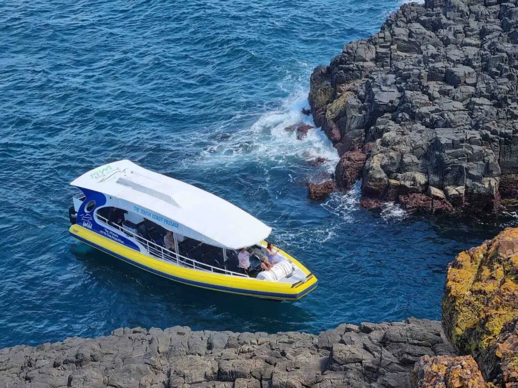 Shellharbour Whale Watching Cruise | From Shell Cove