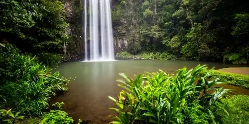Private Half Day Paronella Park Day Tour