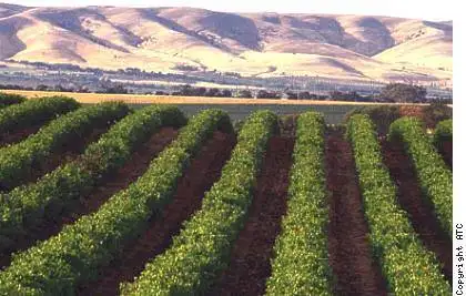 Afternoon Wine Tasting & Adelaide Coast Tour | Half Day
