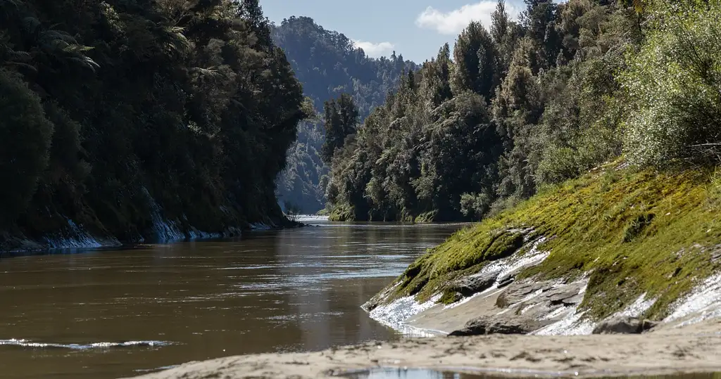 1-Day Whanganui River Journey - Freedom Paddle