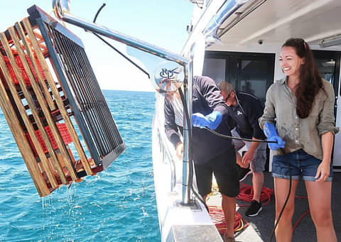 Rottnest Island Lunch Cruise from Perth