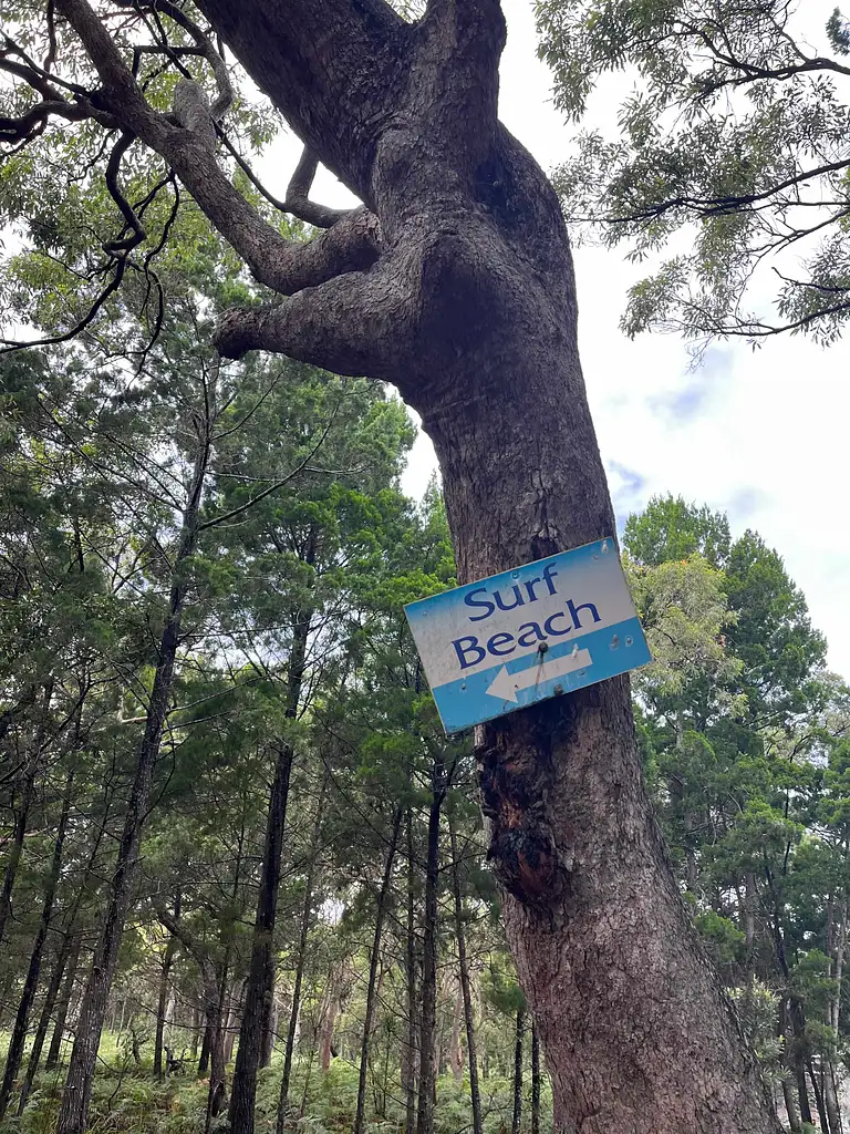 Tour to Tipplers on South Stradbroke Island from Gold Coast