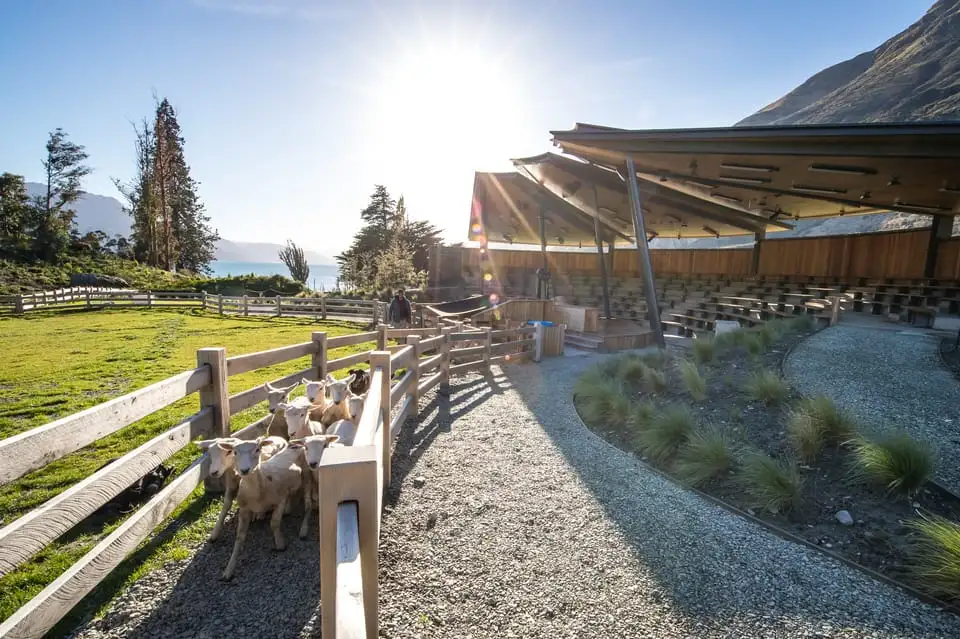 Walter Peak Farm Tour on TSS Earnslaw