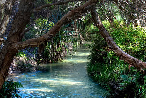 Fraser Island Tour