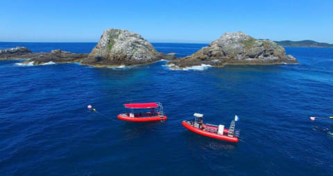Snorkel Tour Julian Rocks