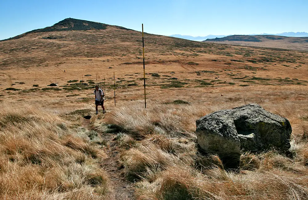 One-day Hiking Tour From Sofia To Vitosha Mountains
