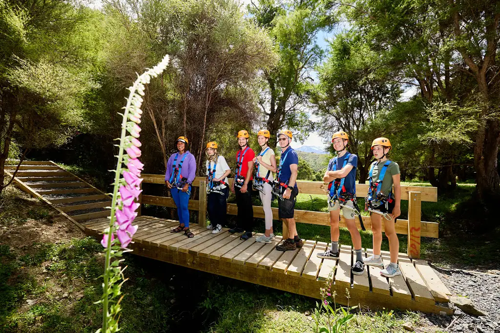 Ziplining & Native Forest Trail | Kaikoura