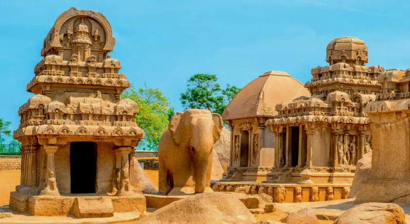 South & North India Tour