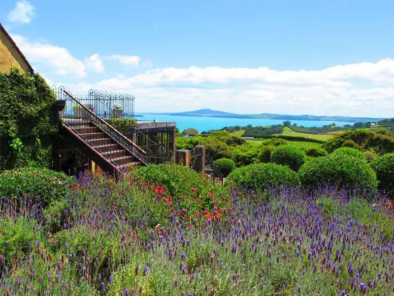 Waiheke Wine & Fishing Tour
