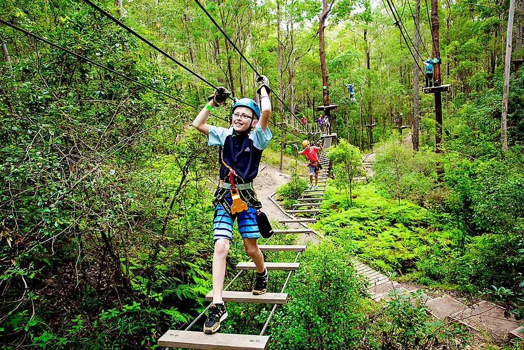TreeTop Challenge Tambourine Mountain Adventure Park