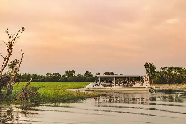Yellow Water billabong cruise Kakadu