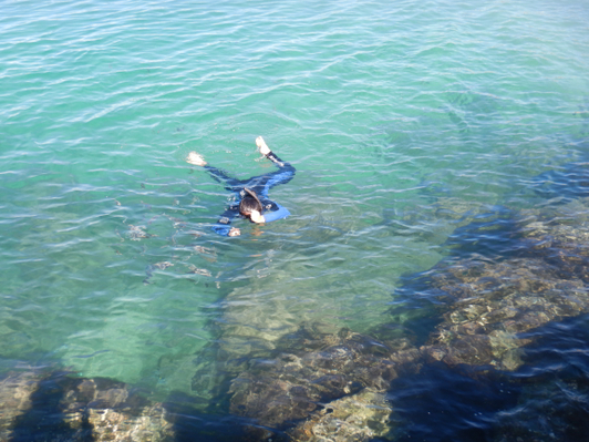 Gold Coast kayaking tours