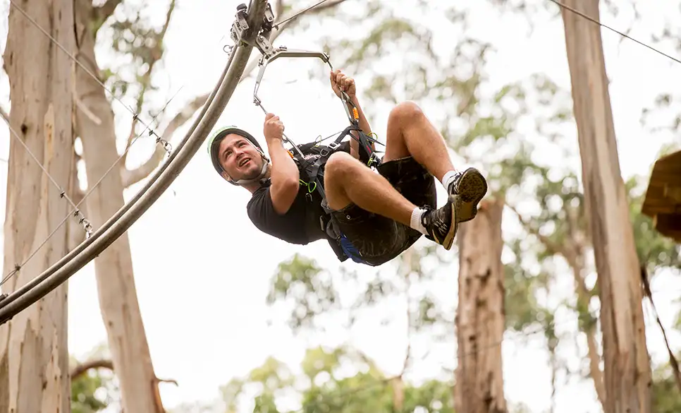 Lorne Shockwave Zip Coaster