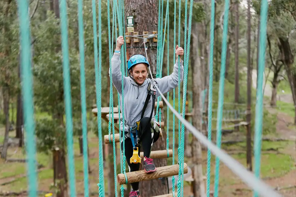 Forest Adventures Park 2.5 Hours Entry