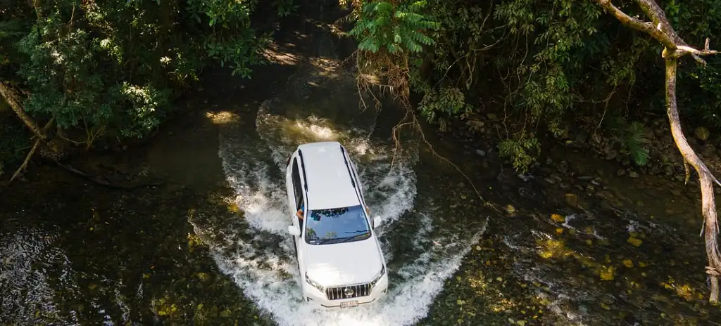 Half Day 4WD Daintree And Cooktown Tour - Private Tour