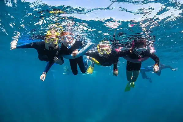 A group of snorkellers swimming and looking at the camera under the water. 