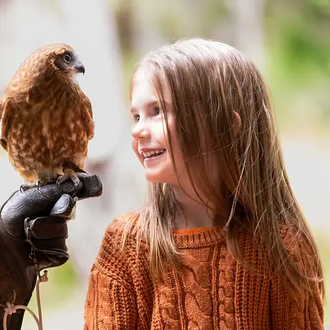 Eagles Heritage: Encounters and Birds of Prey Forest Walk
