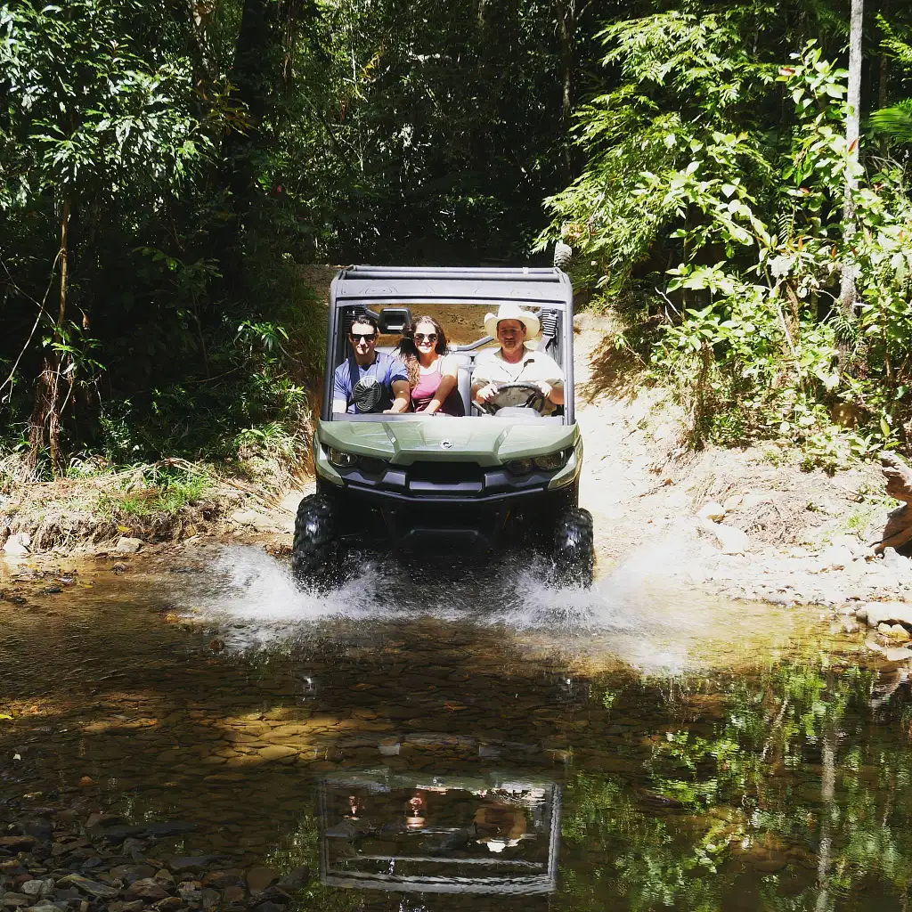 1 Hour Rainforest Buggy Tour