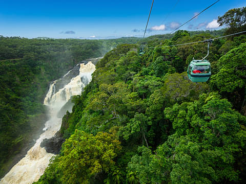kuranda best day tour
