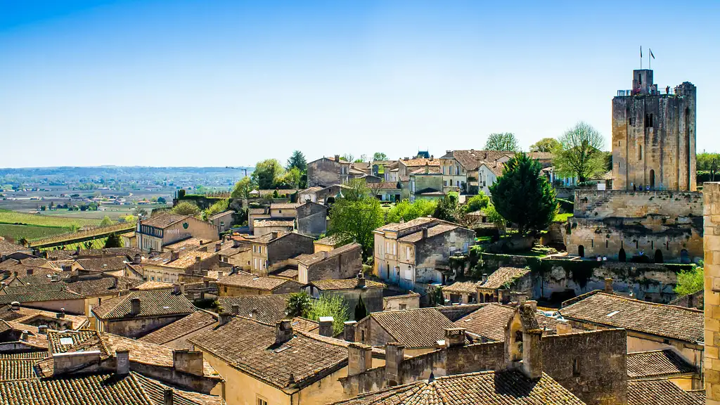 Grand Cru Chateau and Saint-Emilion Village Half Day Guided | From Bordeaux